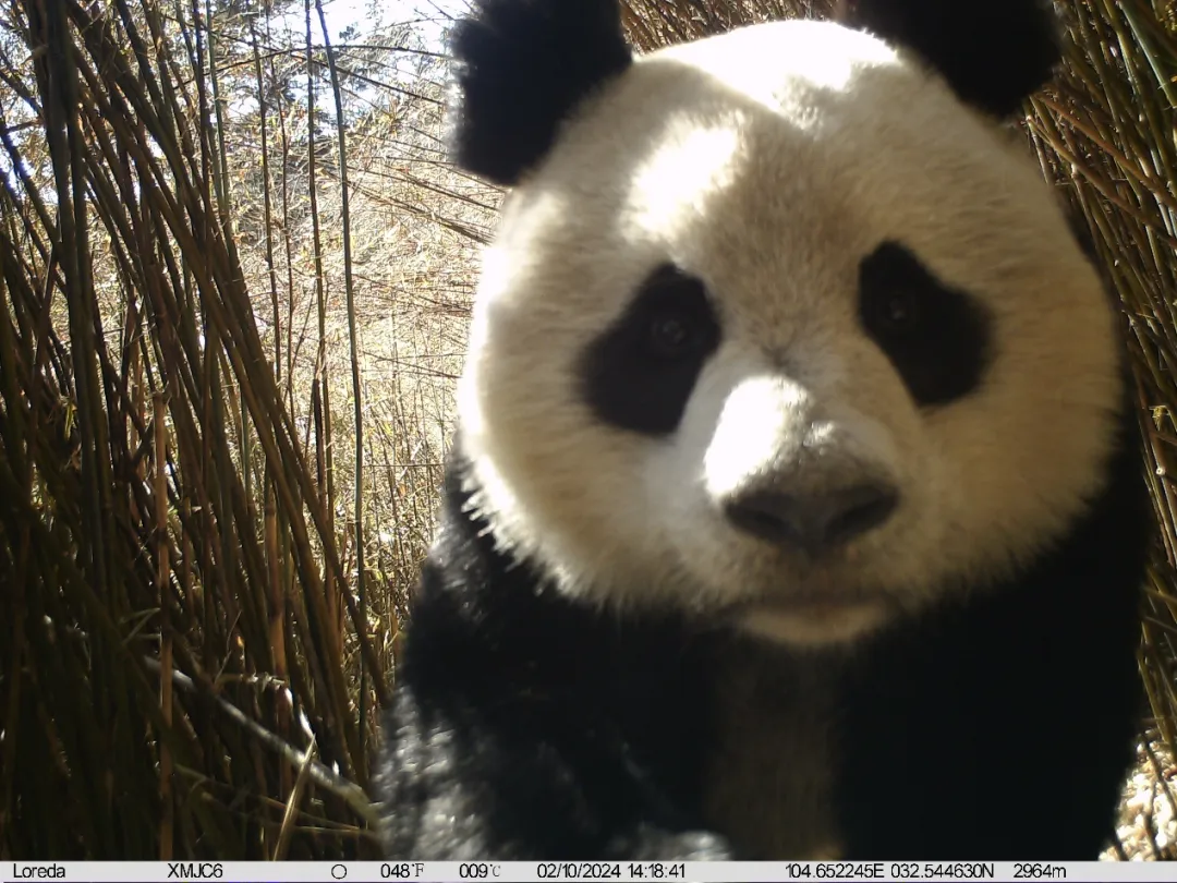 1752637695932070.jpg 640(7).jpg